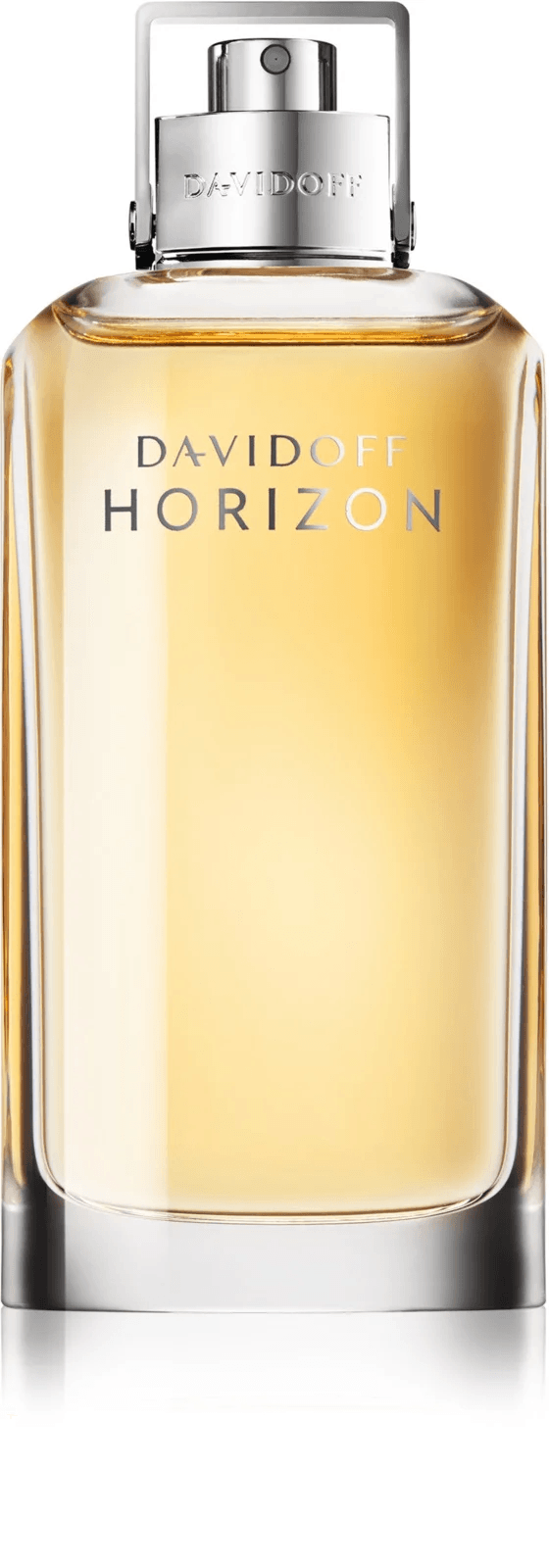 DAVIDOFF HORIZON EDT - EmporiaProfumi