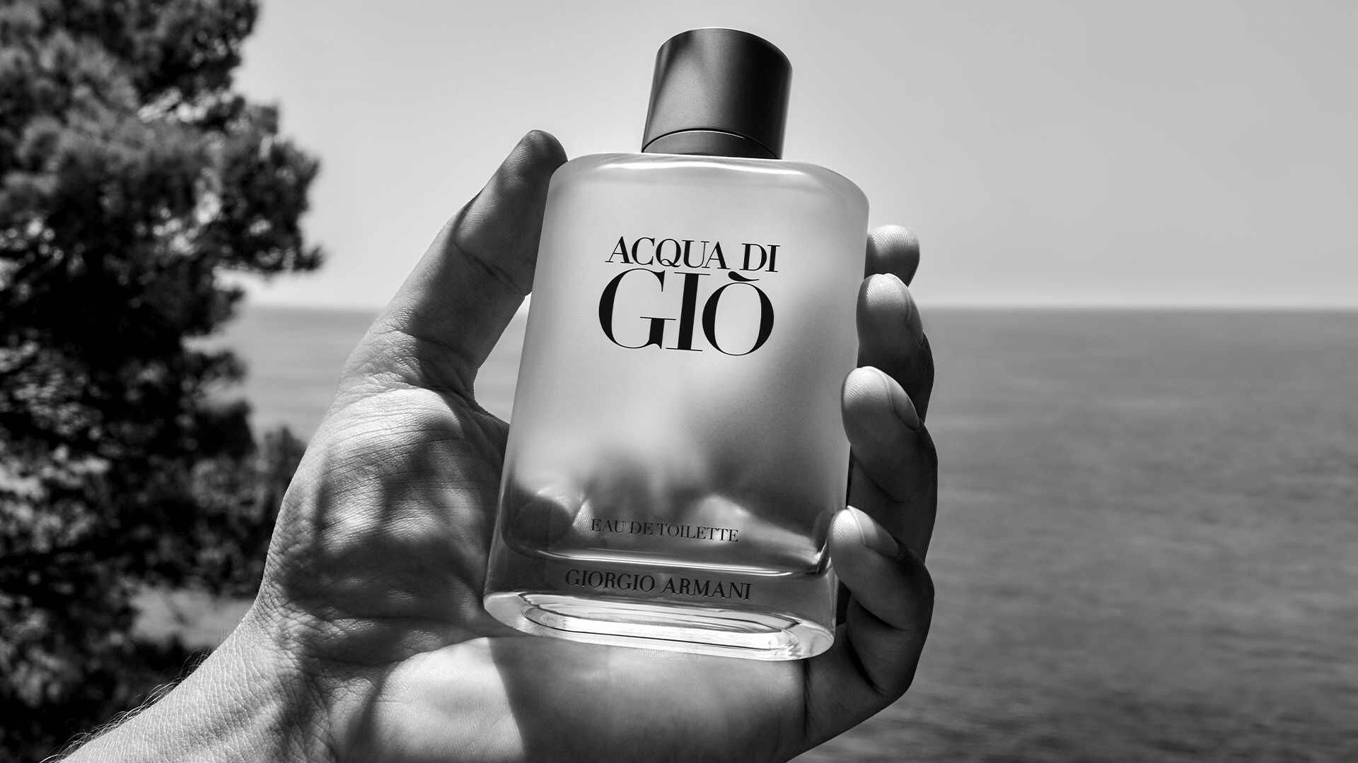 GIORGIO ARMANI ACQUA DI GIO EDT - EmporiaProfumi